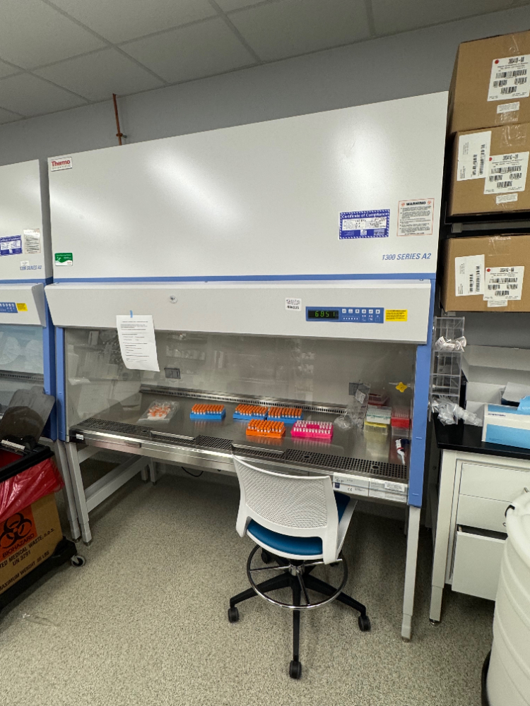 Image of Thermo 1300 Series A2 6' BioSafety Cabinet